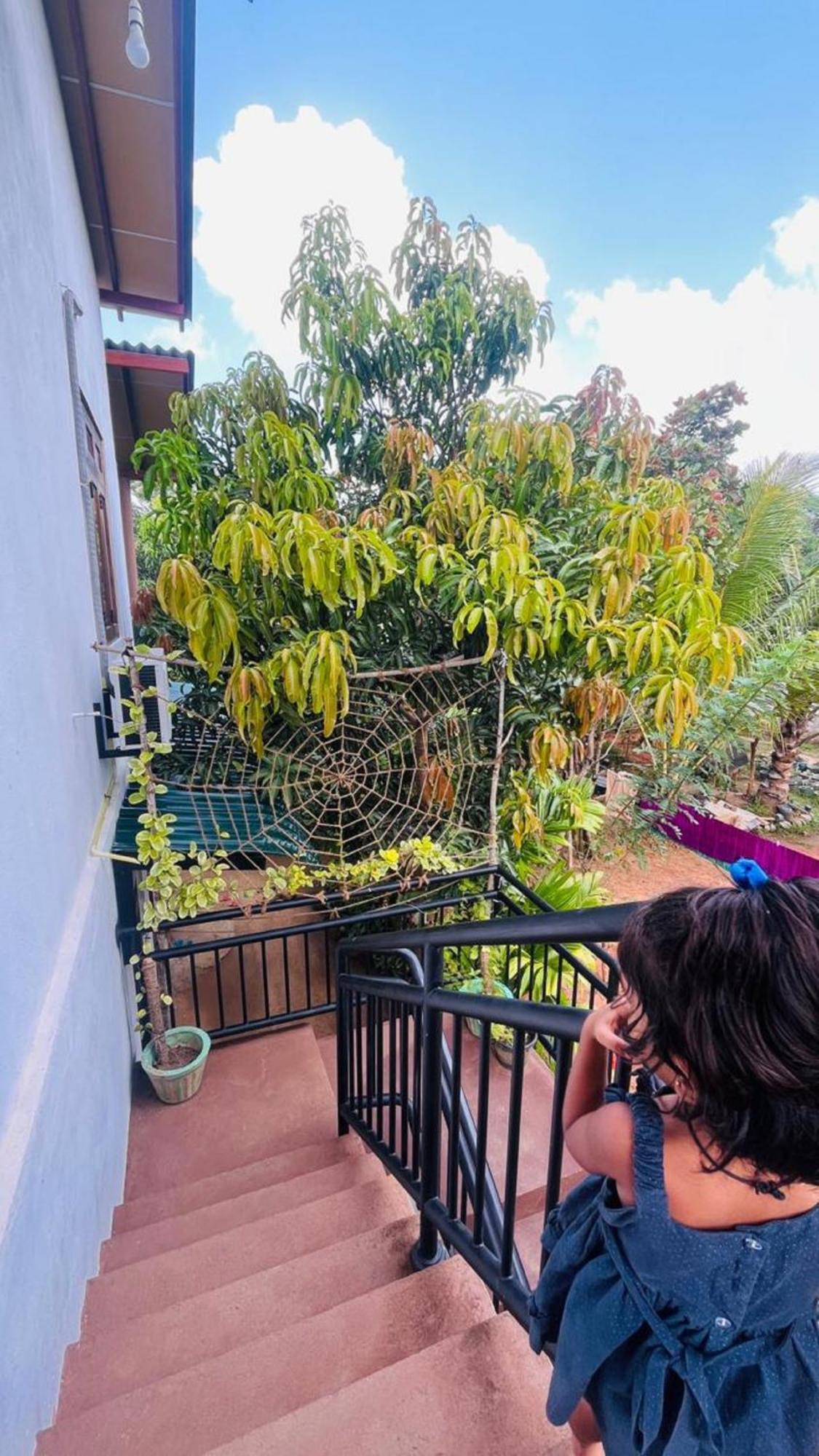 Dew Ashi Homestay Σιγκιρίγια Εξωτερικό φωτογραφία