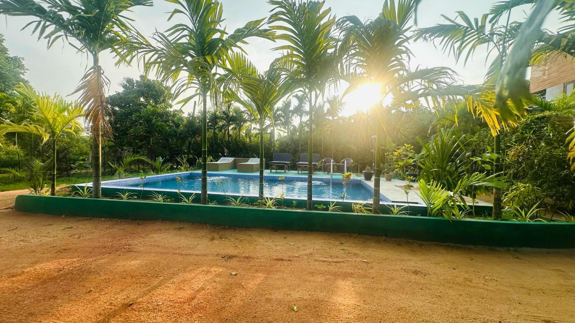 Dew Ashi Homestay Σιγκιρίγια Εξωτερικό φωτογραφία