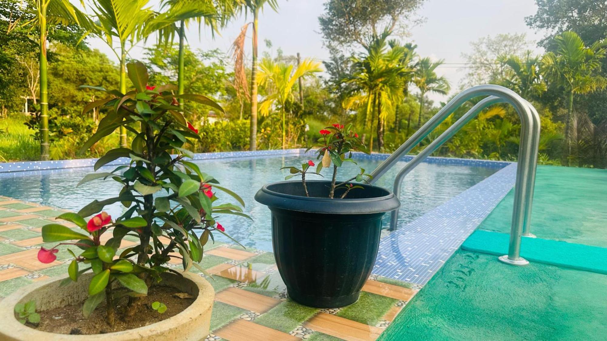 Dew Ashi Homestay Σιγκιρίγια Εξωτερικό φωτογραφία