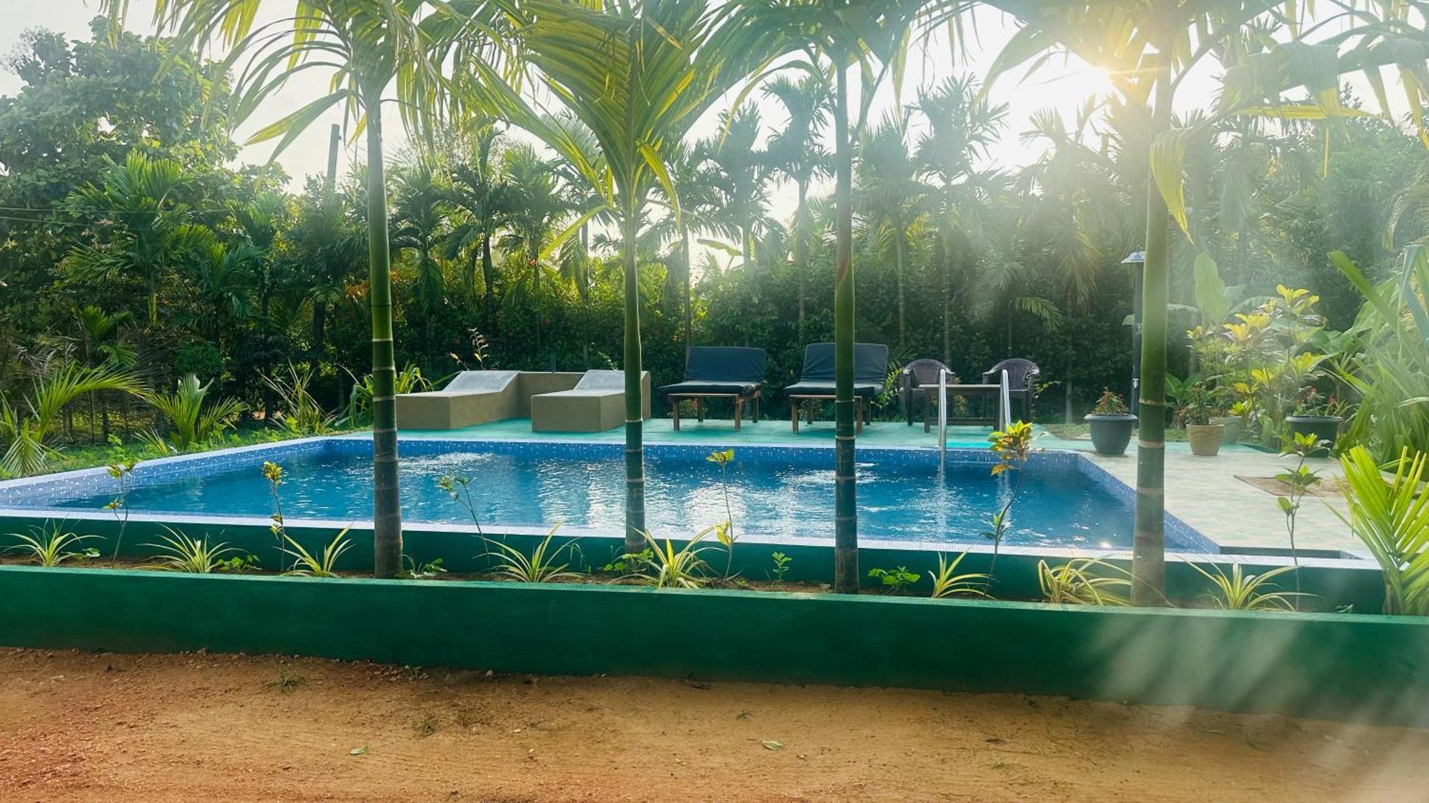 Dew Ashi Homestay Σιγκιρίγια Εξωτερικό φωτογραφία